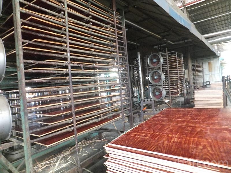 工程用模板報價清單 木工模板價格知多少? 工程用模板報價清單 木工模板價格知多少?