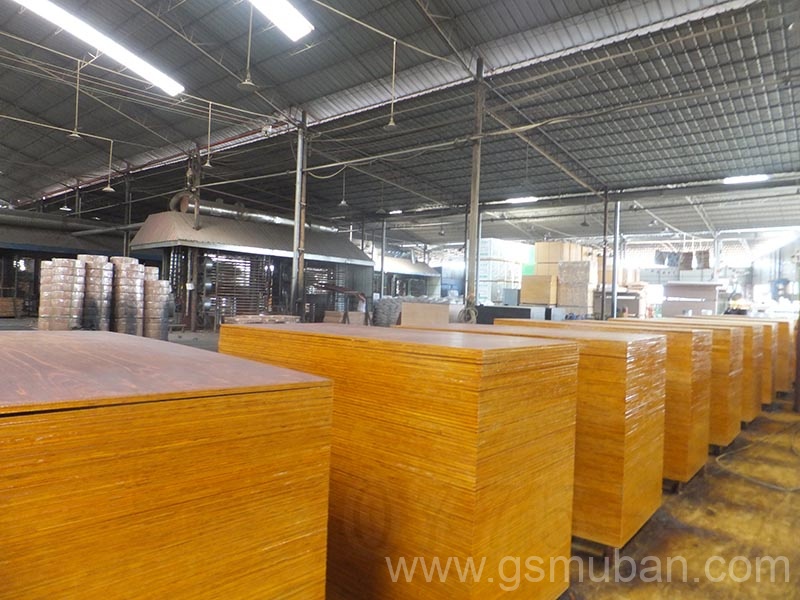 什么是桉木模板?廣西模板廠家推薦 什么是桉木模板?廣西模板廠家推薦